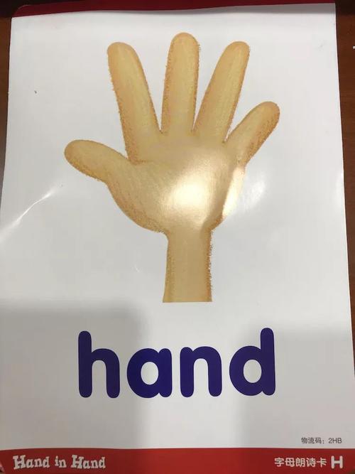 hand怎麼讀（英語hand怎麼讀）1