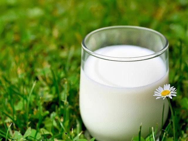 牛奶的功效與作用（牛奶對人體的好處盤點）1