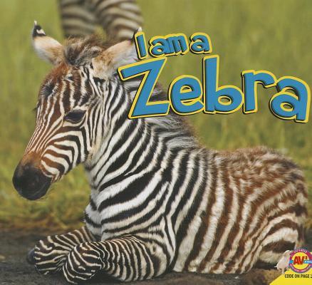 zebra怎麼讀音（英語zebra怎麼讀音）1