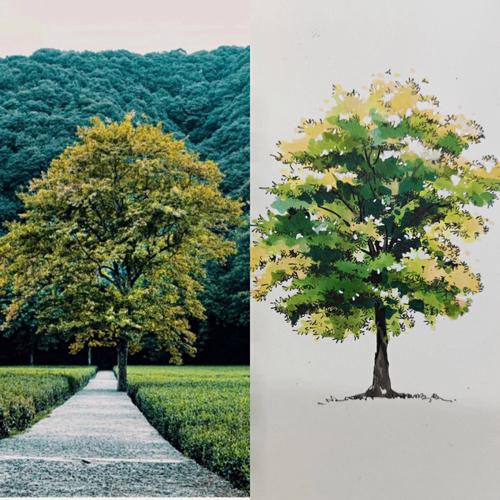馬克筆畫樹的簡單畫法（手繪樹的簡筆畫畫法）1