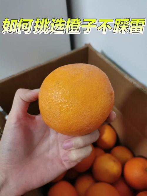 橙子怎麼挑選甜的（疑難解答）1