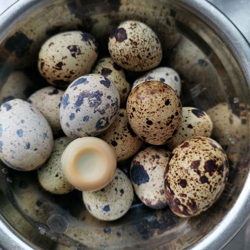 鹽煮鳥蛋怎麼煮（鹽煮鳥蛋的煮法）1
