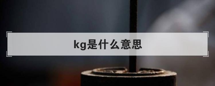 網絡說kg是什麼意思（網絡kg的意思）1