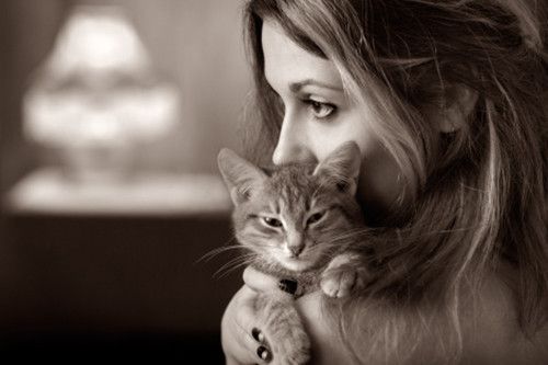 喜歡貓的女人心理學（貓性女人的愛情）1