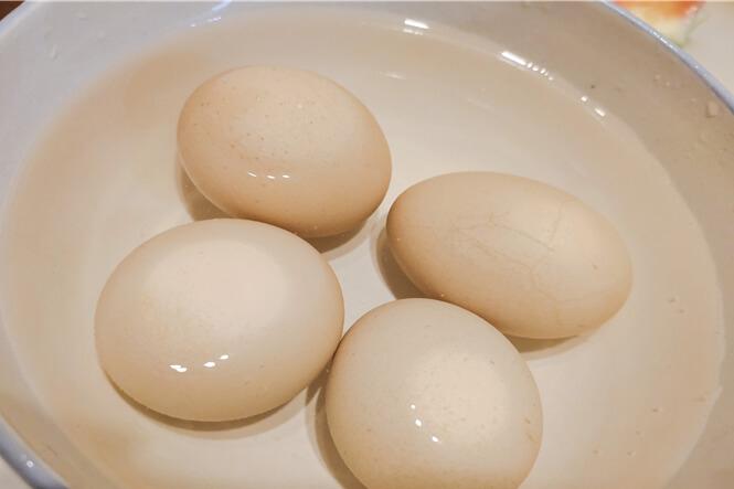 公雞蛋和母雞蛋的區别（公雞蛋和母雞蛋有何不同）1