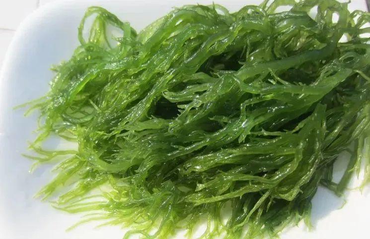 海藻适合什麼病吃（給大家簡單介紹一下）1