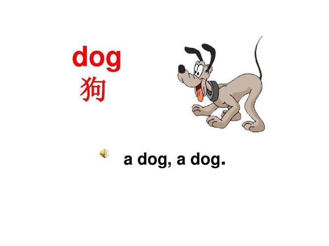 各種狗的英文怎麼寫（各種狗狗的英文）1
