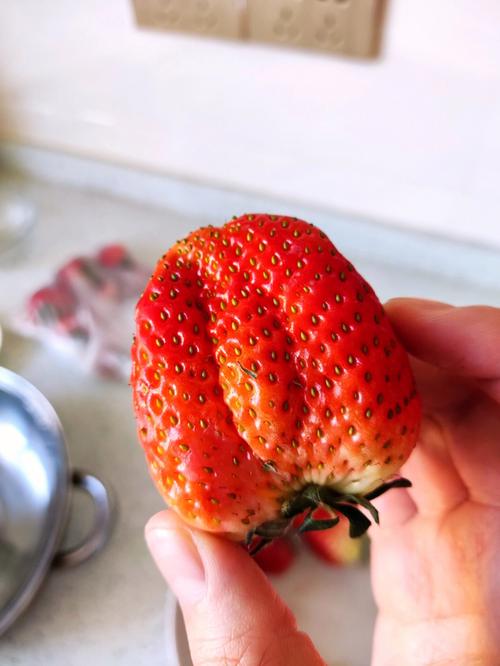 草莓用保鮮袋怎麼保存（草莓用保鮮袋保存的方法）1