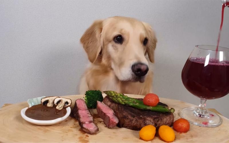 牛排套餐給狗狗吃怎麼做（有什麼注意的要點）1