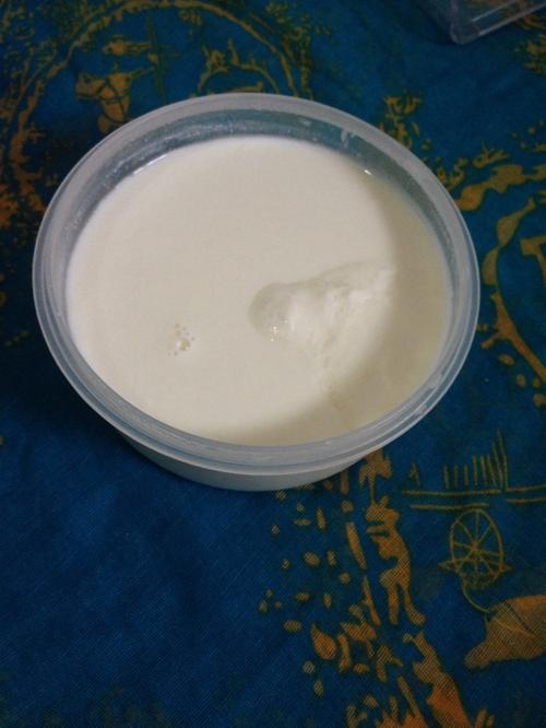 做酸奶發酵時能放蜂蜜嗎（做酸奶發酵時放蜂蜜好嗎）1