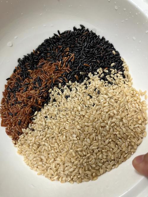如何做糙米飯好吃（糙米飯好吃的做法）1