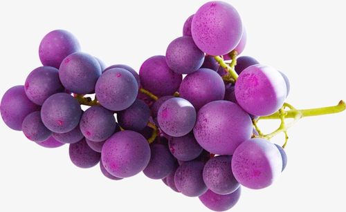 紫色的水果（哪些水果是紫色的）1