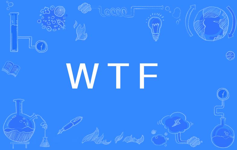 wtf是什麼詞的縮寫（wtf的意思）1