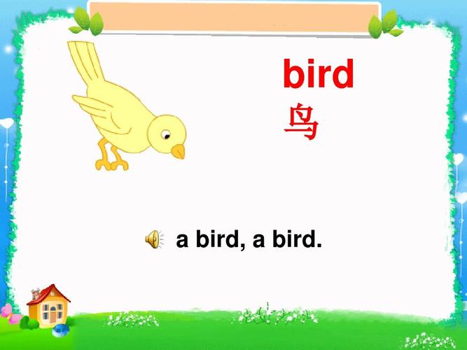 小鳥英語怎麼讀（小鳥的音标）1