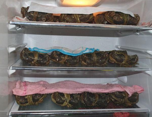 螃蟹放在冰箱冷藏多久（螃蟹放冰箱冷凍裡可以保存3個月）1