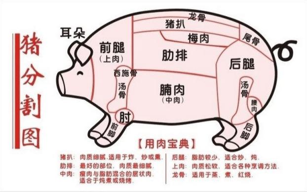各部位豬肉食用方法（告訴你豬肉的各個部位應該怎麼吃）1