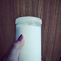 怎麼用酸奶機自制酸奶的家常做法（獨家司徒DIY菜譜迷你酸奶機之自制酸奶）10
