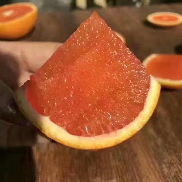 血橙與冰糖橙功效（你不知道的事情）1