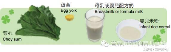 雞蛋蔬菜米糊輔食（營養師教寶寶餐）2