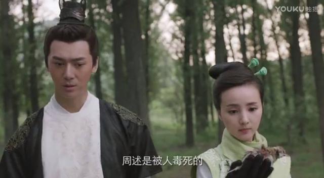 鞠婧祎和徐海喬拍的電視劇（張辛苑的顔值如空氣）44