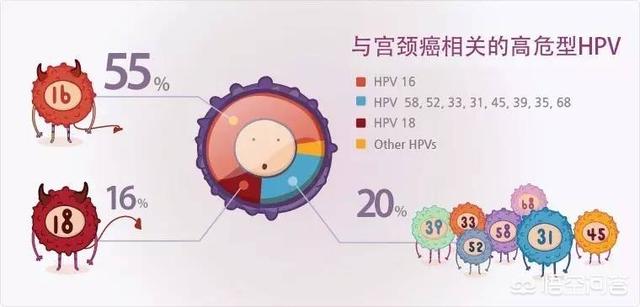 hpv疫苗可以預防哪幾種（女性健康殺手HPV以及預防用HPV疫苗介紹）4