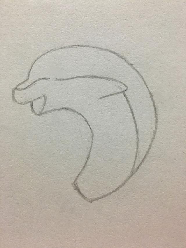 少兒畫海豚的簡筆畫步驟（簡筆畫小海豚的畫法）5