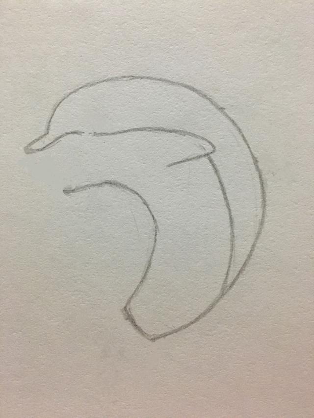 少兒畫海豚的簡筆畫步驟（簡筆畫小海豚的畫法）4