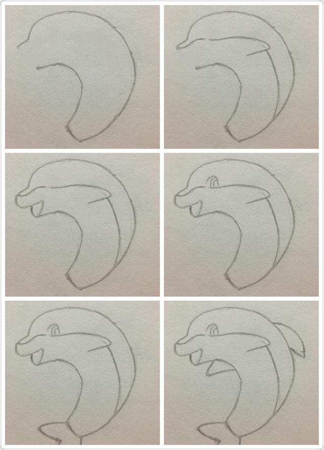 少兒畫海豚的簡筆畫步驟（簡筆畫小海豚的畫法）2