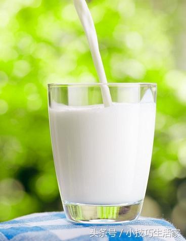 過期的牛奶還有這些妙用（過期牛奶居然可以用到這些地方）4