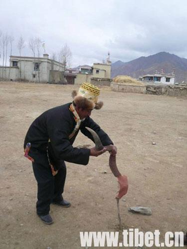 廣西特有的民族傳統體育項目（藏民族的傳統體育項目）2