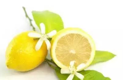 檸檬的清潔原理（清潔除味檸檬居然有這麼多用處）4