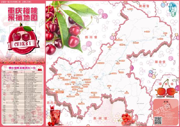 重慶主城有哪些櫻桃（重慶最Hot櫻桃采摘地圖來了）1