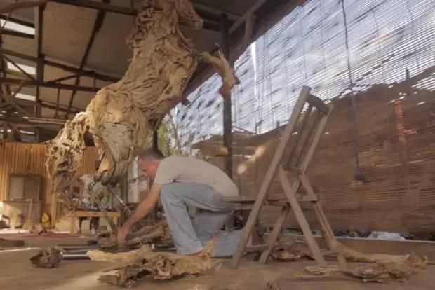 世界上神奇的根雕（外國牛人花30年時間收集40多噸木根）6