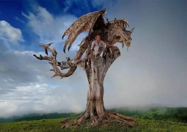 世界上神奇的根雕（外國牛人花30年時間收集40多噸木根）7