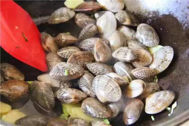 海鮮花蛤最經典的幾種做法（美味又不長肉是海鮮大排檔的必點菜）13