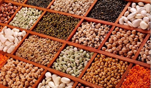 簡述一下各種豆類的營養和功效（各種豆類的屬性及其功效）1