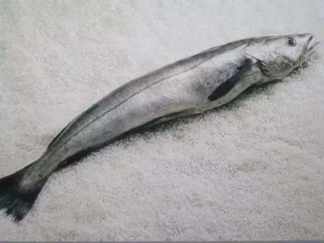 如何分辨真鳕魚和銀鳕魚（漲見識銀鳕魚竟然不是鳕魚）4