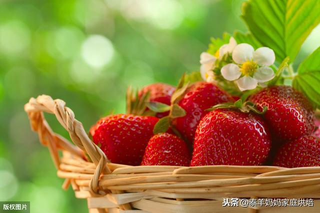 草莓怎麼辨别打過激素（打了激素的草莓怎麼區分）4