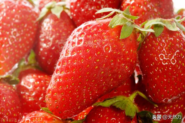 什麼品種的草莓好吃好種（什麼草莓品種好）8