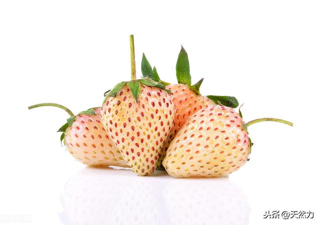 什麼品種的草莓好吃好種（什麼草莓品種好）7