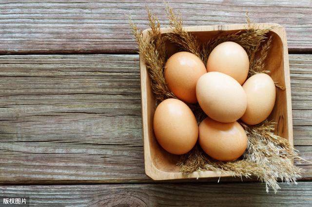 土雞蛋是否比普通雞蛋更有營養（土雞蛋真的更有營養價值）3