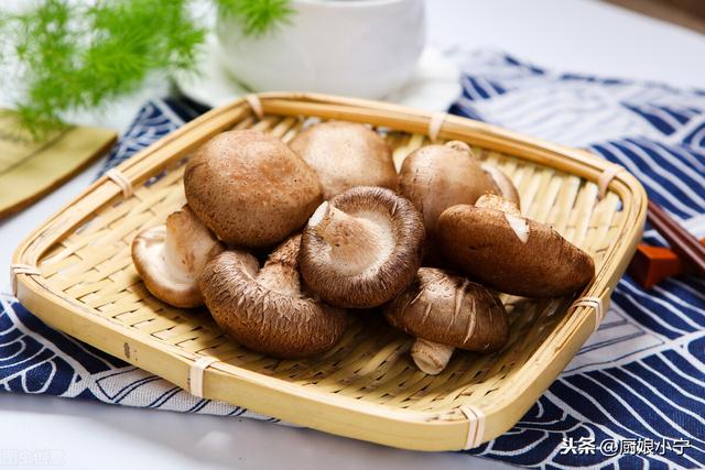 冬季菌菇食材（秋冬菌菇最養人）2
