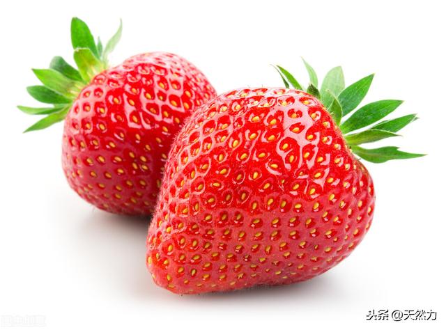 什麼品種的草莓好吃好種（什麼草莓品種好）2