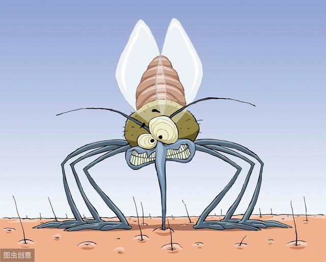 蚊子咬得厲害的是哪種蚊子（蚊子為什麼吸血）3