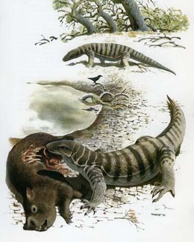 史前最大的蜥蜴（捕食人類的巨型蜥蜴）5