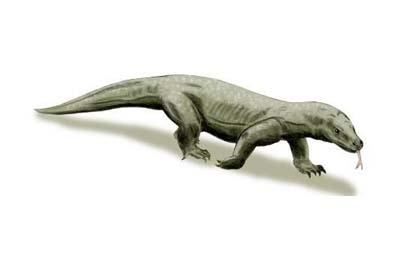 史前最大的蜥蜴（捕食人類的巨型蜥蜴）1