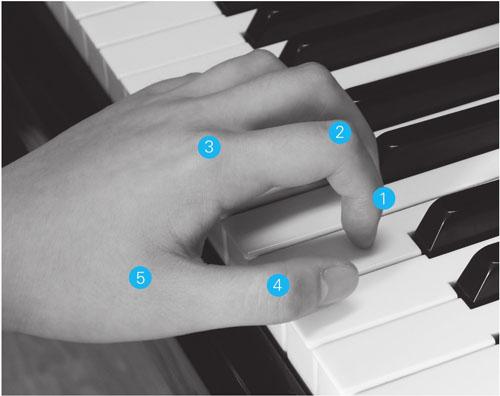初學者電子琴一個鍵怎麼彈（彈電子琴的手型和觸鍵方法圖解）1