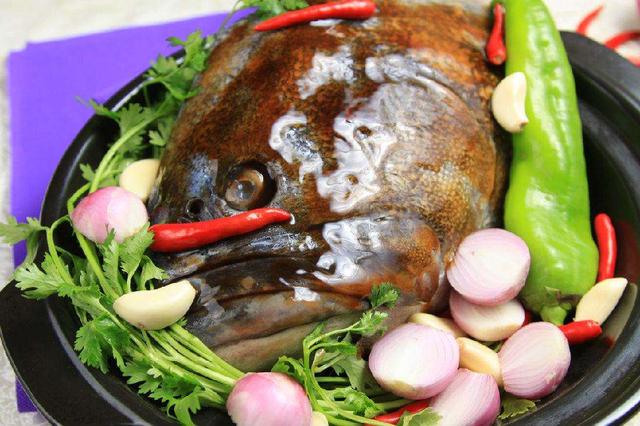 石斑魚好吃嗎營養價值（石斑魚低脂肪高蛋白）3