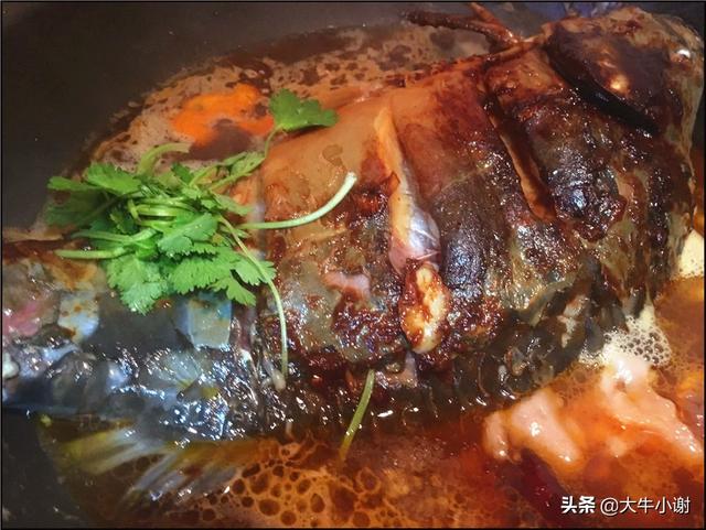 高原裸鯉怎麼做好吃（介紹一下鏡鯉是什麼魚）8