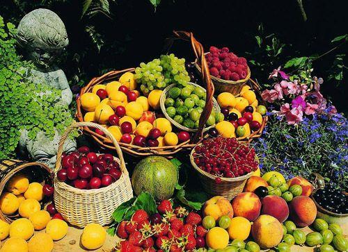 晚上吃什麼水果不會胖反而會減肥（多吃水果就減脂嗎）2